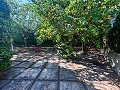 Large Country House with Pool and Annex in Sax in Daft on Spain 