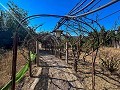 Large Country House with Pool and Annex in Sax in Daft on Spain 