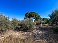 Large Country House with Pool and Annex in Sax in Daft on Spain 