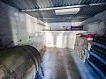 Large Country House with Pool and Annex in Sax in Daft on Spain 