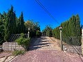 Large Country House with Pool and Annex in Sax in Daft on Spain 