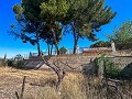 Large Country House with Pool and Annex in Sax in Daft on Spain 