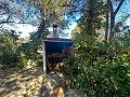 Espaciosa casa de campo con 8 habitaciones para reformar en Yecla in Daft on Spain 