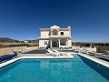 Hermosa villa de 3 dormitorios y 2 baños en Pinoso (llave en mano). in Daft on Spain 