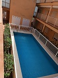 Nice 2 bed 1 Bath Apartment in Rafal near Orihuela. in Daft on Spain 