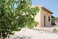 Belle finca espagnole authentique de 4 chambres et 2 salles de bain avec maison d'hôtes à Pinoso. in Daft on Spain 