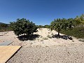 Superbe maison de campagne in Daft on Spain 