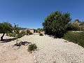 Superbe maison de campagne in Daft on Spain 