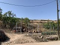 Stadswoning met 3 slaapkamers, terras, garage en tuin in Daft on Spain 