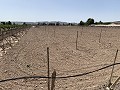 Terrain à bâtir entre Novelda et Monforte Del Cid in Daft on Spain 