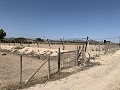 Terrain à bâtir entre Novelda et Monforte Del Cid in Daft on Spain 