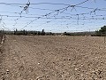 Terrain à bâtir entre Novelda et Monforte Del Cid in Daft on Spain 