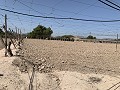 Terrain à bâtir entre Novelda et Monforte Del Cid in Daft on Spain 