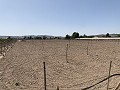 Terrain à bâtir entre Novelda et Monforte Del Cid in Daft on Spain 