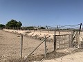 Terrain à bâtir entre Novelda et Monforte Del Cid in Daft on Spain 