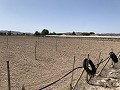 Terrain à bâtir entre Novelda et Monforte Del Cid in Daft on Spain 