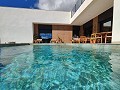 Beautiful New Build Villa including plot with pool in Jumilla. in Daft on Spain 