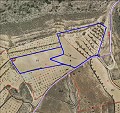 Beautiful New Build Villa including plot with pool in Jumilla. in Daft on Spain 
