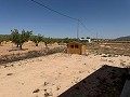 Lovely 3 Bed 2 Bath Villa in Pinoso. in Daft on Spain 