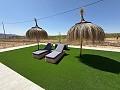 Lovely 3 Bed 2 Bath Villa in Pinoso. in Daft on Spain 