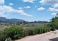 Fabulous 4 Bed Villa with Self-Contained Guest House in Sax. in Daft on Spain 