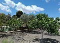 Fabulous 4 Bed Villa with Self-Contained Guest House in Sax. in Daft on Spain 