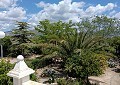 Fabulous 4 Bed Villa with Self-Contained Guest House in Sax. in Daft on Spain 