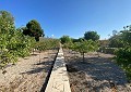 Fabulous 4 Bed Villa with Self-Contained Guest House in Sax. in Daft on Spain 