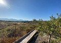 Fabulous 4 Bed Villa with Self-Contained Guest House in Sax. in Daft on Spain 