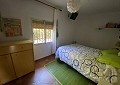Fabulous 4 Bed Villa with Self-Contained Guest House in Sax. in Daft on Spain 