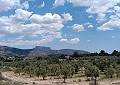 Fabulous 4 Bed Villa with Self-Contained Guest House in Sax. in Daft on Spain 