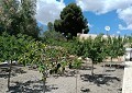 Fabulous 4 Bed Villa with Self-Contained Guest House in Sax. in Daft on Spain 