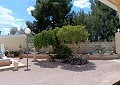 Fabulous 4 Bed Villa with Self-Contained Guest House in Sax. in Daft on Spain 