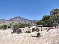 Hervorragende Villa mit 4 Schlafzimmern, Pool und unschlagbarer Aussicht in Fortuna. in Daft on Spain 