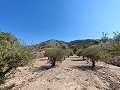 Hervorragende Villa mit 4 Schlafzimmern, Pool und unschlagbarer Aussicht in Fortuna. in Daft on Spain 