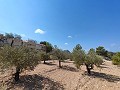 Hervorragende Villa mit 4 Schlafzimmern, Pool und unschlagbarer Aussicht in Fortuna. in Daft on Spain 