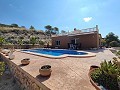 Hervorragende Villa mit 4 Schlafzimmern, Pool und unschlagbarer Aussicht in Fortuna. in Daft on Spain 