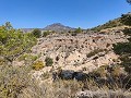 Hervorragende Villa mit 4 Schlafzimmern, Pool und unschlagbarer Aussicht in Fortuna. in Daft on Spain 