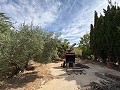 Amplia casa con garaje y gran parcela: Una casa con grandes posibilidades in Daft on Spain 