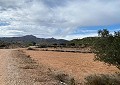 Schöne Finca in Sax 2 Schlafzimmer 1 Bad mit Potenzial für viel mehr in Daft on Spain 