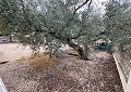 Schöne Finca in Sax 2 Schlafzimmer 1 Bad mit Potenzial für viel mehr in Daft on Spain 