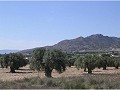 Terrain à vendre à (Rincon Del Moro.) Sax in Daft on Spain 