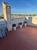 Schönes Apartment mit 2 Schlafzimmern und 1 Bad in Villamartin. in Daft on Spain 