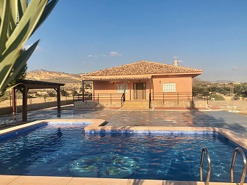 Large New Build Villa with swimming pool