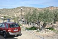 Large New Build Villa with swimming pool in Daft on Spain 