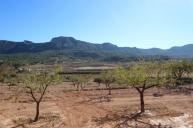 Villa de lujo de nueva construcción diseñada según sus especificaciones in Daft on Spain 