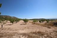 Country house with 100.000M2 olives and Almonds in Daft on Spain 