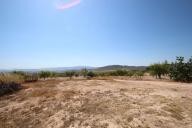 Country house with 100.000M2 olives and Almonds in Daft on Spain 