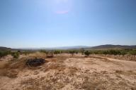 Country house with 100.000M2 olives and Almonds in Daft on Spain 