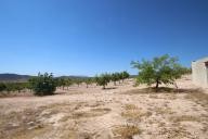 Country house with 100.000M2 olives and Almonds in Daft on Spain 